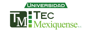 UNIVERSIDAD TEC MEXIQUENSE